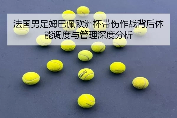 fa-guo-nan-zu-mu-ba-pei-ou-zhou-bei-dai-shang-zuo-zhan-bei-hou-ti-neng-diao-du-yu-guan-li-shen-du-fen-xi-2-340.jpg