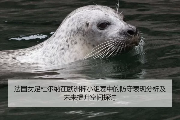 法国女足杜尔纳在欧洲杯小组赛中的防守表现分析及未来提升空间探讨